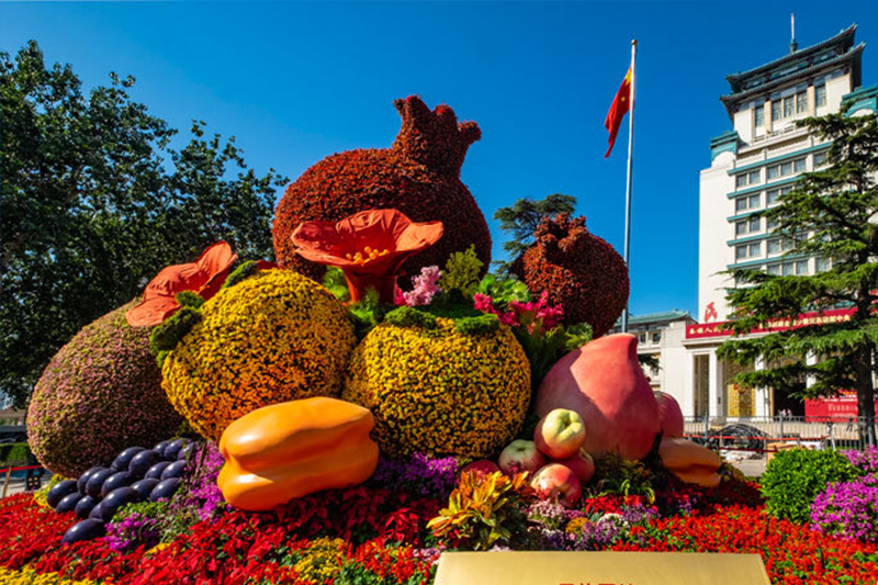 第九組民族文化宮前布置的“民族團結”立體花壇