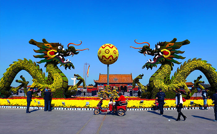 開封龍亭公園菊花會展雙龍戲珠菊花造型