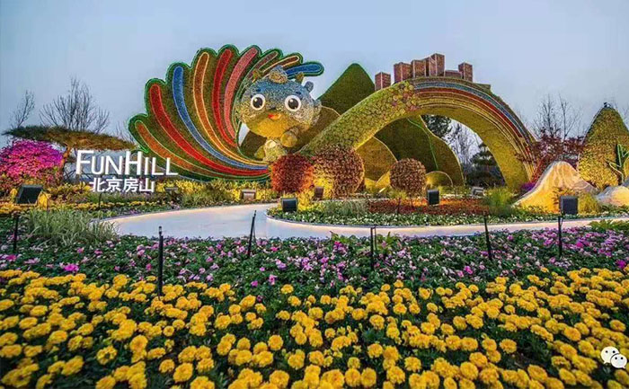 立體花壇造型常用植物與立體花壇植物的選擇標準