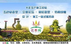 <b>制作五色草造型應(yīng)該選擇什么樣的公司</b>