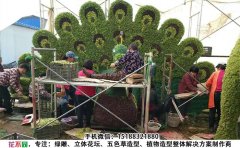 <b>五色草在五色草花壇造型及園林景觀中的應(yīng)用</b>