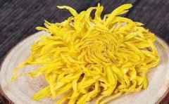 金絲皇菊一畝地干花產(chǎn)量和利潤