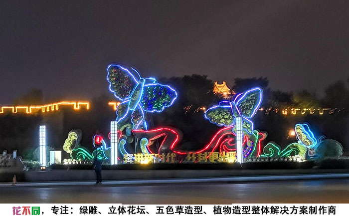 蝶語(yǔ)花香植物立體花壇夜間實(shí)拍圖