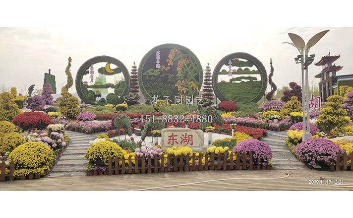 江西南昌菊花展-東湖展區(qū)實拍圖片