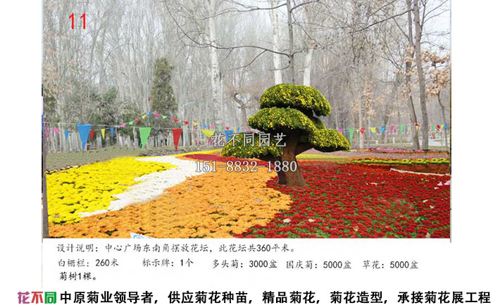 菊花展設計方案-色塊設計效果圖