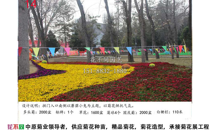 菊花展設計方案-色塊設計效果圖