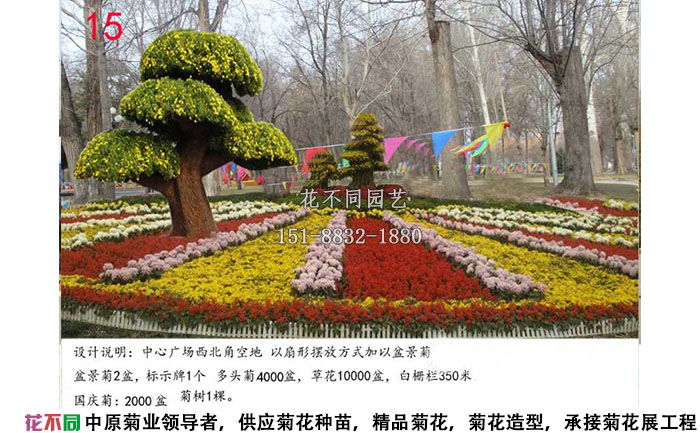 菊花展設計方案-盆景菊設計效果圖