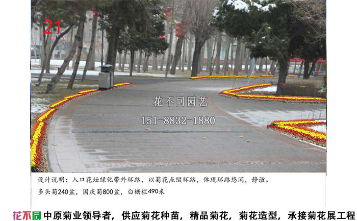 菊花展設計方案-沿路設計效果圖