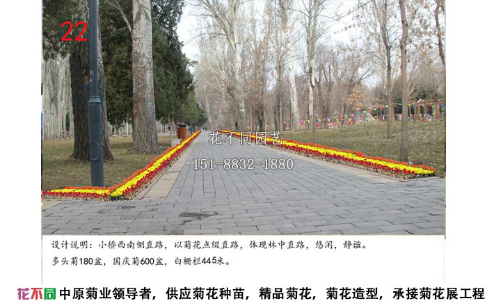 菊花展設計方案-沿路設計效果圖