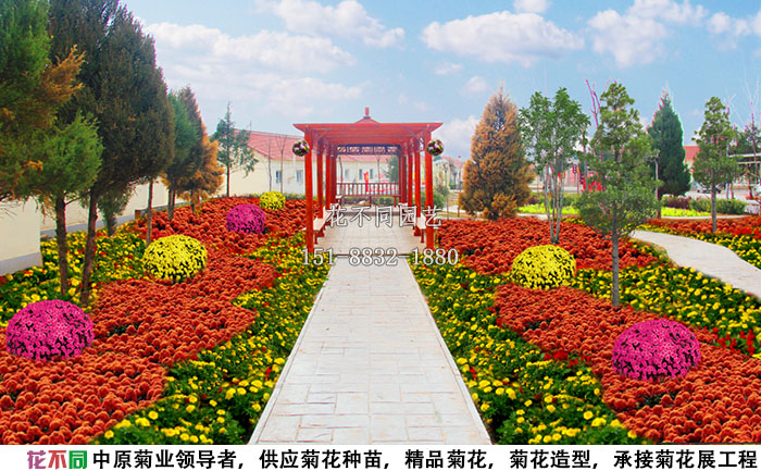 長治菊花展施工圖