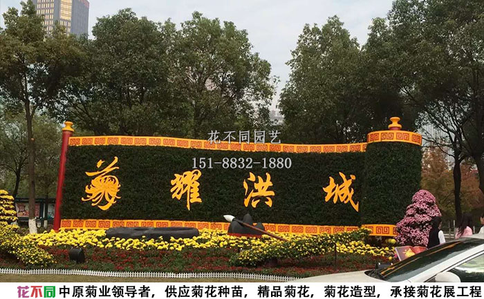 江西菊花節(jié)主景布展現(xiàn)場實拍圖