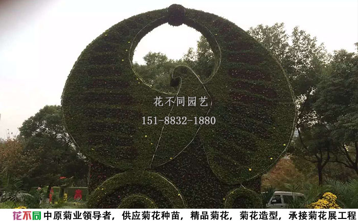 江西菊花展主景五色草造型現(xiàn)場實拍圖