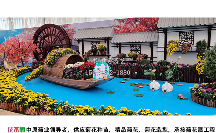 湖北菊花花會菊花花鏡展區(qū)照片