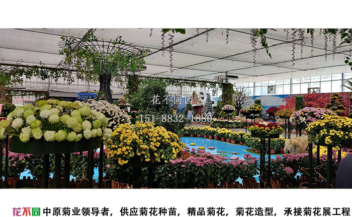 湖北菊花花會主會場設(shè)計方案