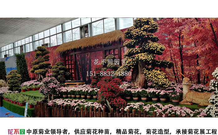 湖北菊花花會精品菊樹盆景展區(qū)設(shè)計圖