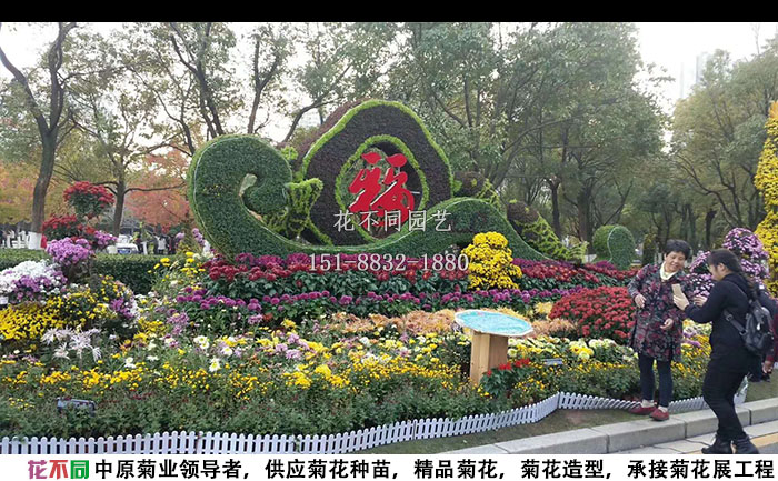 菊花展工程設計方案