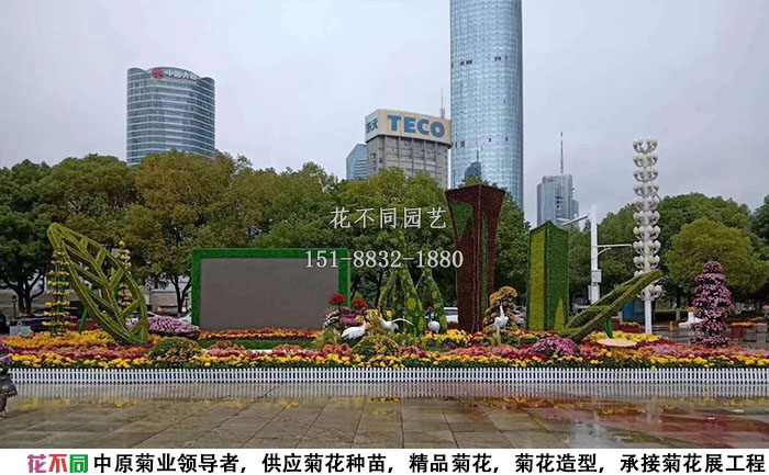 江西菊花展工程濕地公園展區(qū)