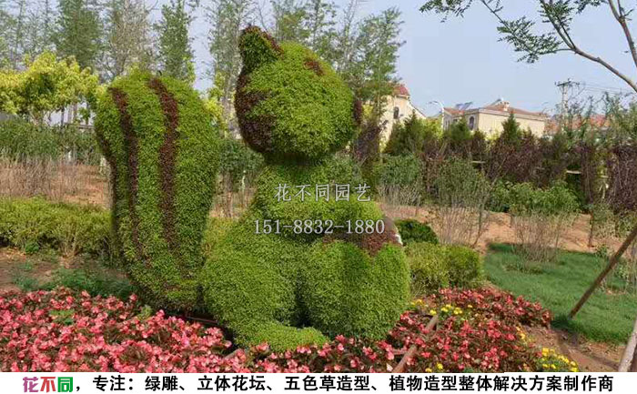 動(dòng)物綠雕造型-松鼠設(shè)計(jì)圖