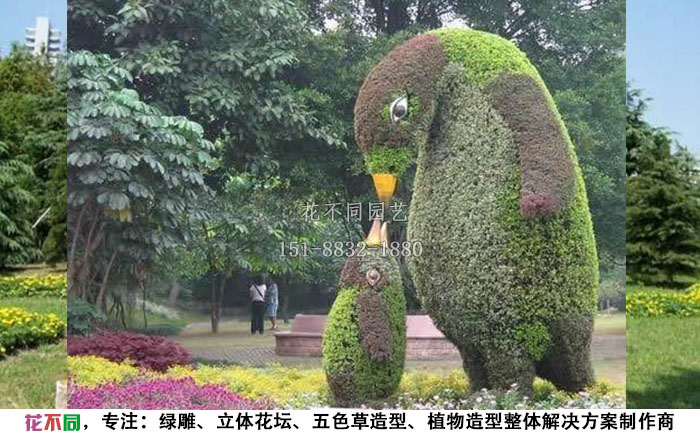植物綠雕動物造型-企鵝實拍圖