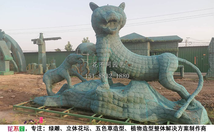 植物綠雕動物造型骨架-老虎現(xiàn)場實拍圖