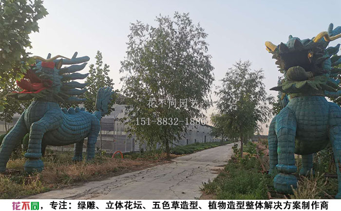 植物綠雕動物造型骨架-麒麟現(xiàn)場實拍圖