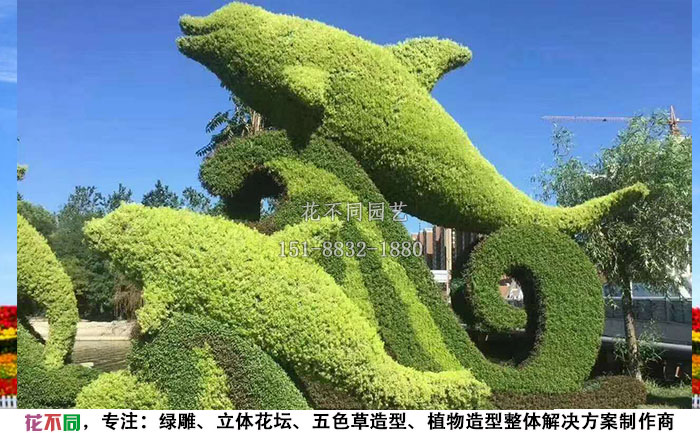 仿真動(dòng)物綠雕-海豚現(xiàn)場(chǎng)實(shí)拍圖