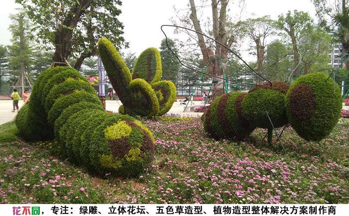 國(guó)慶綠雕綠植工藝品-毛毛蟲(chóng)照片