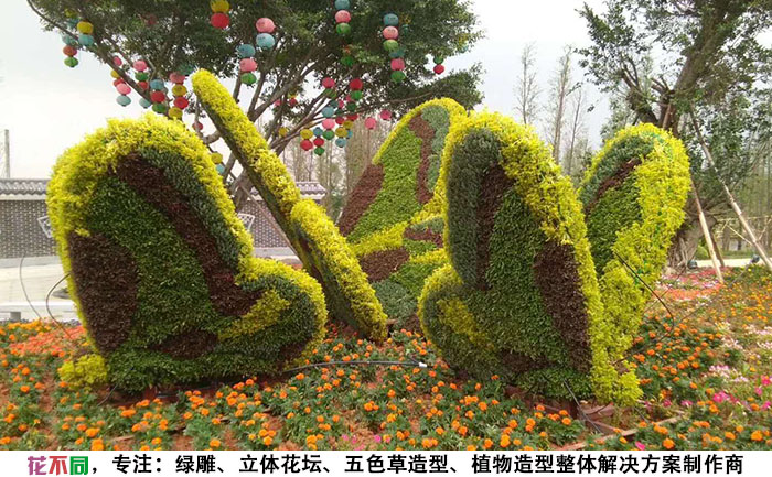 國(guó)慶綠雕綠植工藝品-蝴蝶照片