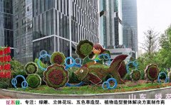 <b>山東濟南創(chuàng)意立體花壇</b>