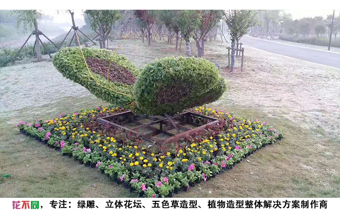 動(dòng)物精光綠雕造型-蝴蝶現(xiàn)場實(shí)拍圖片