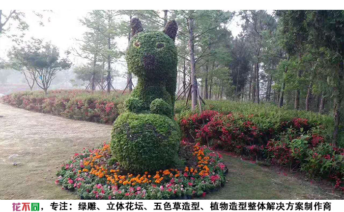 動(dòng)物景觀綠雕造型-松鼠現(xiàn)場實(shí)拍圖片