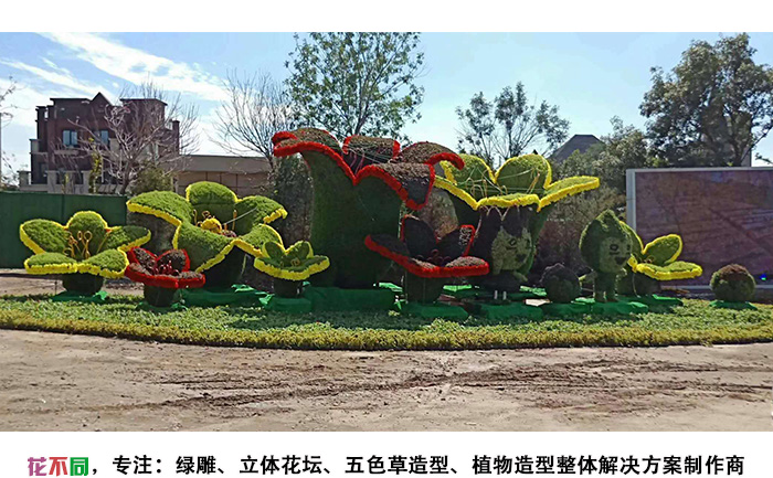 河北張家口百合花組合植物綠雕現(xiàn)場(chǎng)實(shí)拍圖