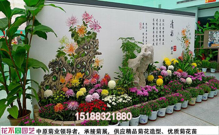 菊花展設(shè)計(jì)圖