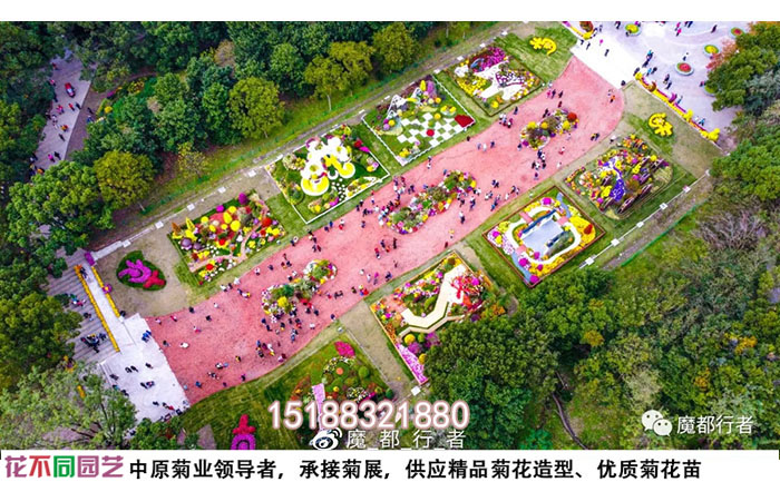 菊花展設(shè)計(jì)圖