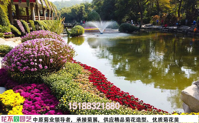 菊花展設(shè)計圖