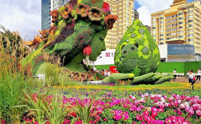 湖北武漢菊花展綠雕修復(fù)現(xiàn)場(chǎng)照片