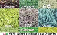 五色草顏色圖譜｜七大色系變化規(guī)律與搭配技巧