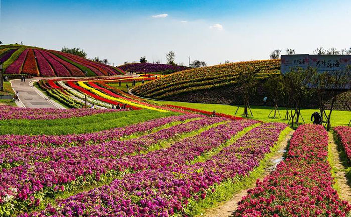 大地藝術(shù)節(jié)景觀裝置