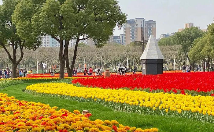 花海灌溉系統(tǒng)設(shè)計(jì)圖