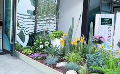 低成本高回報花境方案：預算控制與景觀效果雙