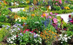 花境生長預(yù)判與修剪計劃｜年智能預(yù)測與精準(zhǔn)養(yǎng)