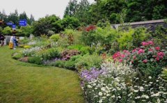 耐修剪花境植物推薦｜抗逆品種與造型控制技術(shù)