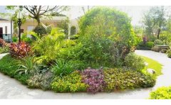 玉簪宿根花卉種植與養(yǎng)護(hù)全攻略｜7大品種解析與