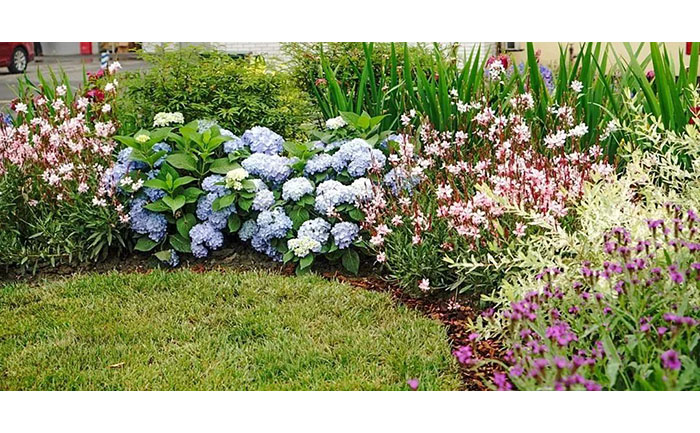 宿根花卉花境搭配實例