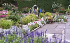 宿根花卉水體綠化應(yīng)用｜水生植物凈化系統(tǒng)與生