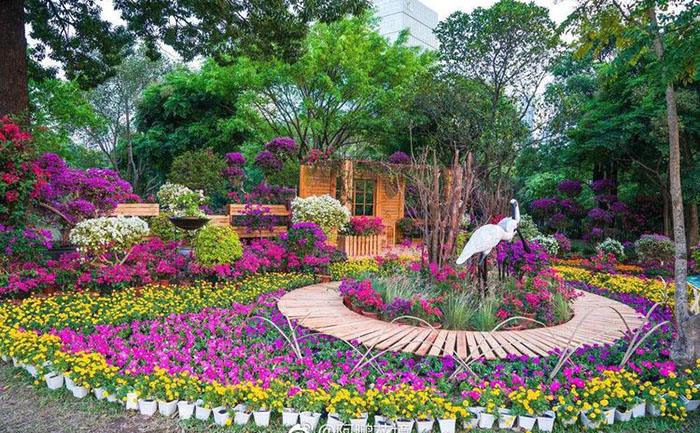 宿根花卉實拍圖