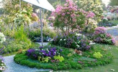 宿根花卉品種｜耐寒抗病新品種選育與景觀應(yīng)用