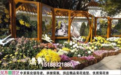 旅游景區(qū)菊花花海設(shè)計方案 |景區(qū)成功案例