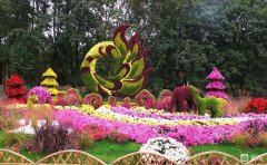 菊花景觀設(shè)計(jì)案例實(shí)拍-精品項(xiàng)目解析