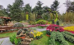 菊花花海綠雕組合景觀設(shè)計(jì)-立體造型技術(shù)標(biāo)準(zhǔn)